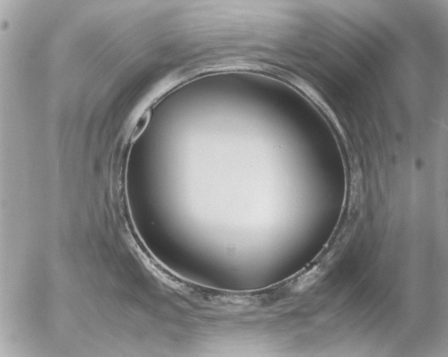 X0000055511197200508262132