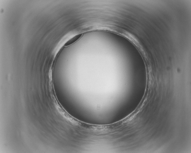 X0000055511198200508262132