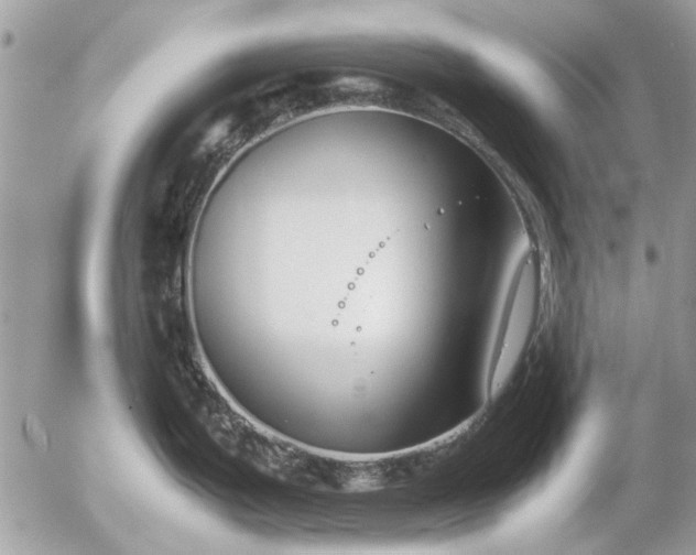 X0000055511199200508262132