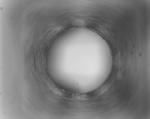 X0000055511201200508262131