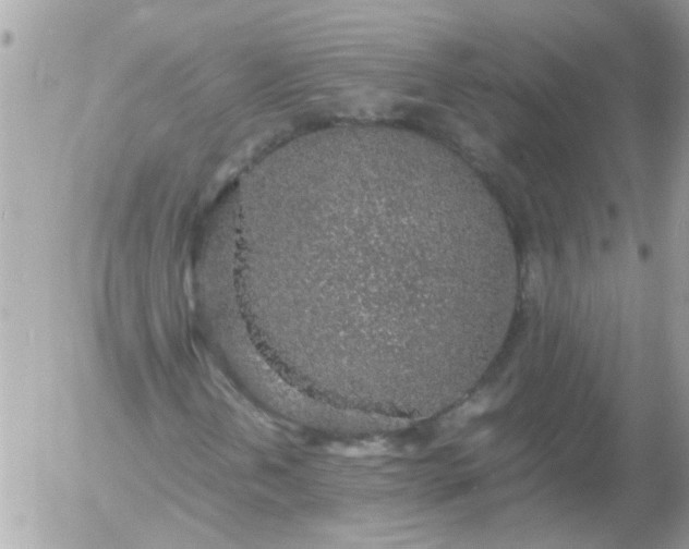 X0000055511202200508262131