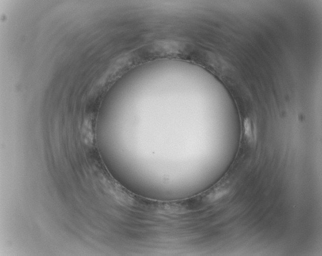 X0000055511203200508262131