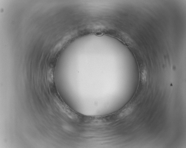 X0000055511204200508262131