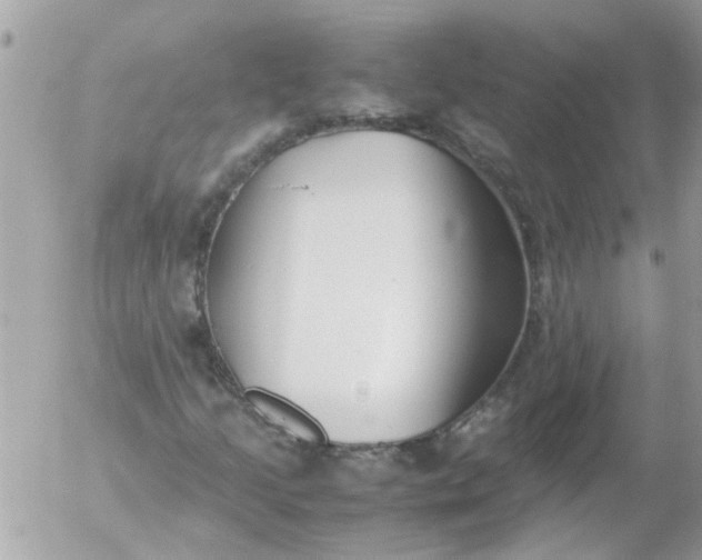 X0000055511205200508262131