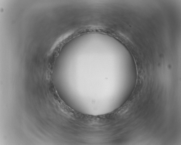 X0000055511207200508262131