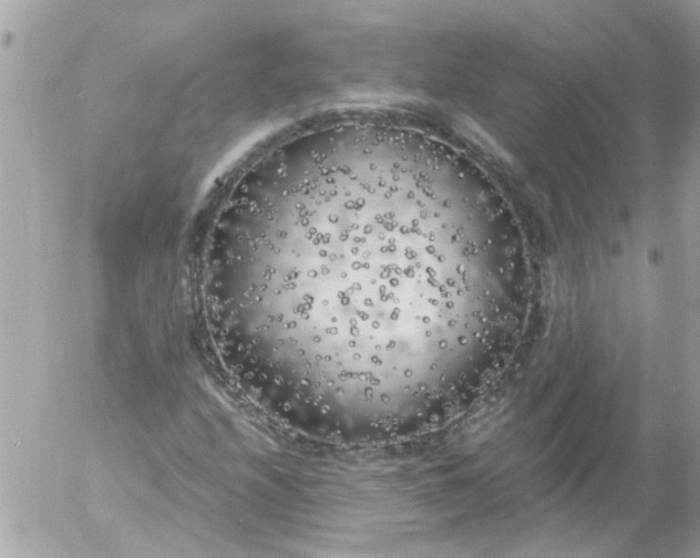 X0000055511208200508262131