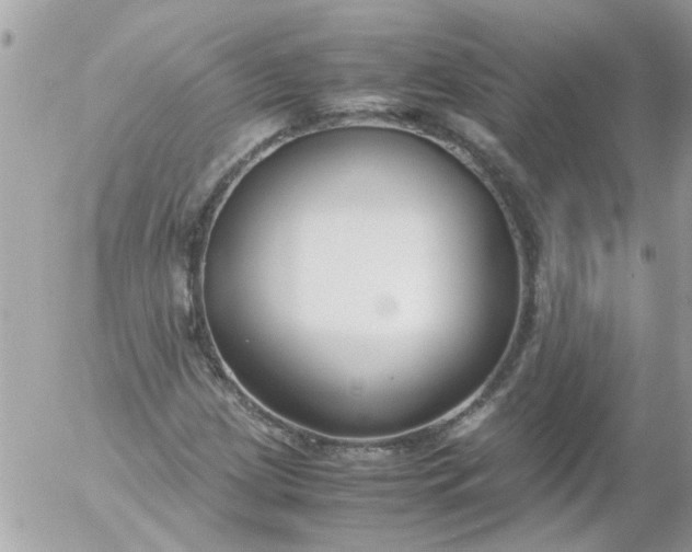 X0000055511209200508262131