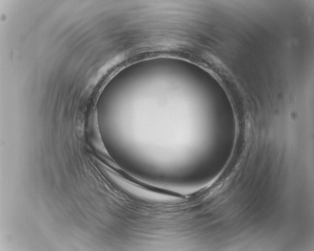 X0000055511210200508262131