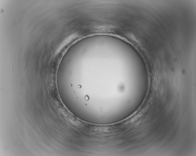 X0000055511211200508262131