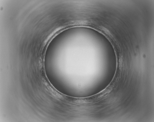 X0000055511212200508262132