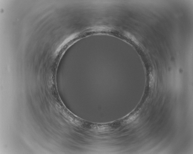 X0000055511213200508262132