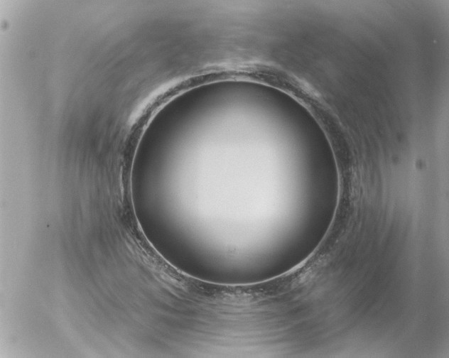 X0000055511214200508262132