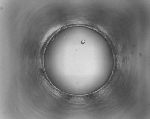 X0000055511215200508262132