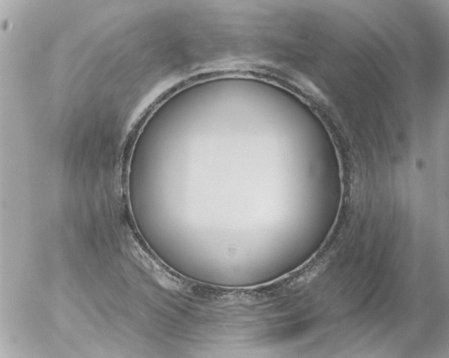 X0000055511216200508262132