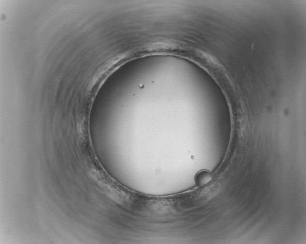 X0000055511217200508262132