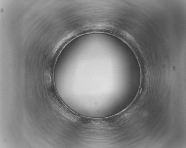 X0000055511218200508262132