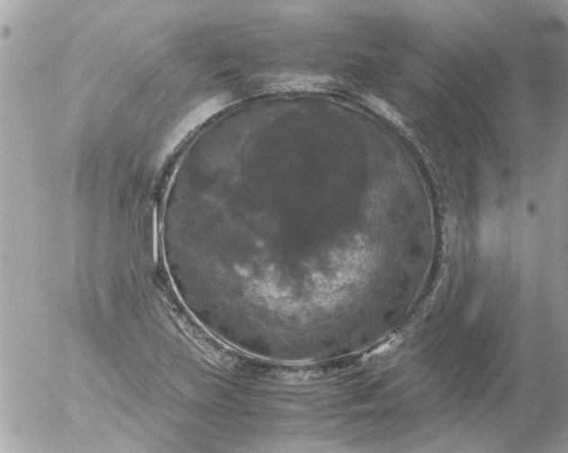 X0000055511219200508262132