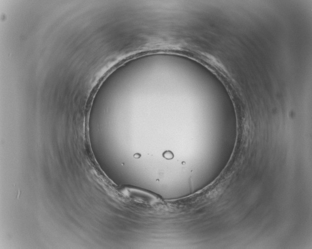 X0000055511220200508262132