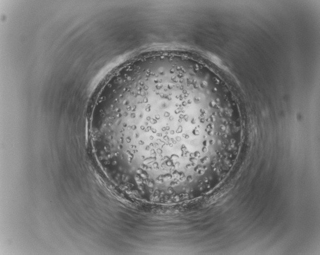 X0000055511221200508262132