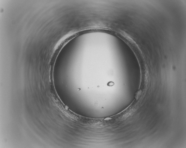 X0000055511222200508262132