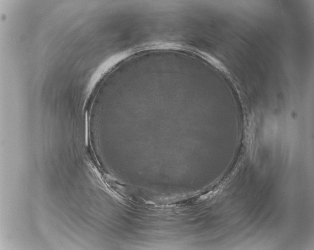 X0000055511223200508262132