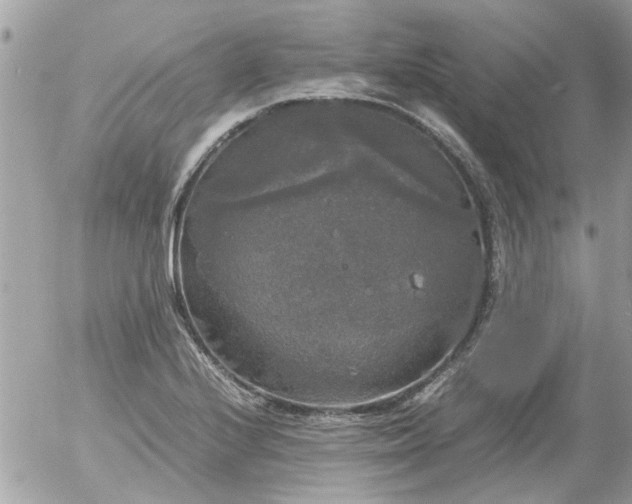 X0000055511224200508262132