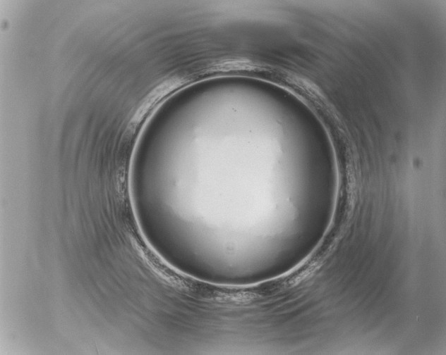 X0000055511225200508262132