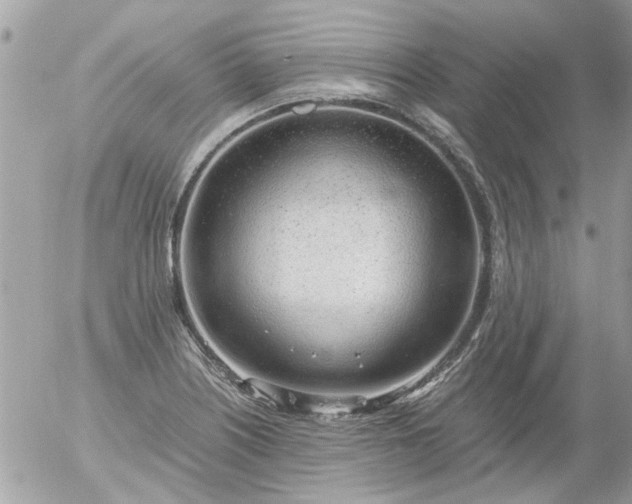 X0000055511226200508262132