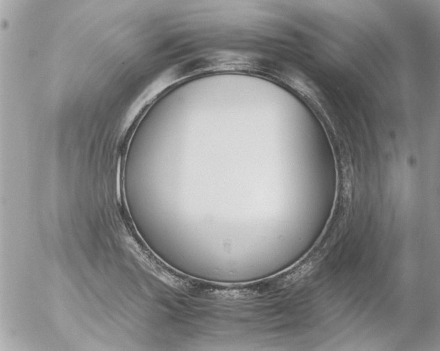 X0000055511227200508262132