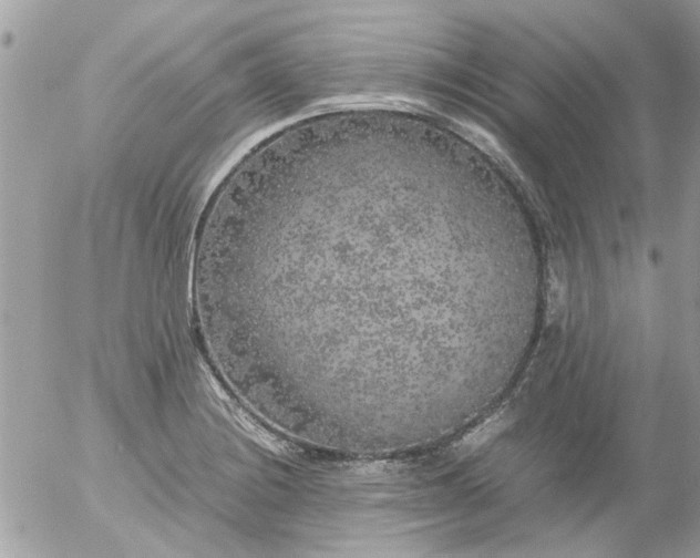 X0000055511228200508262132