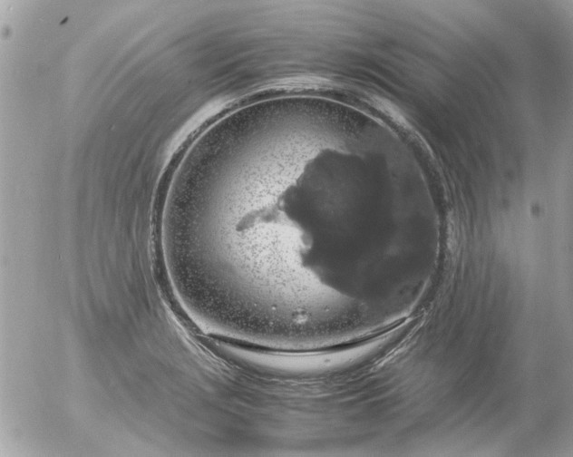 X0000055511229200508262132