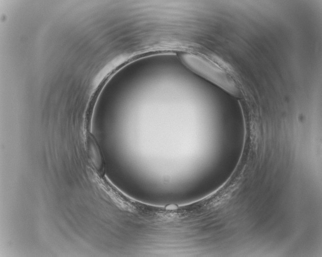 X0000055511230200508262132