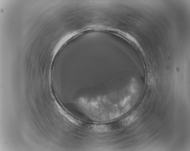 X0000055511231200508262132