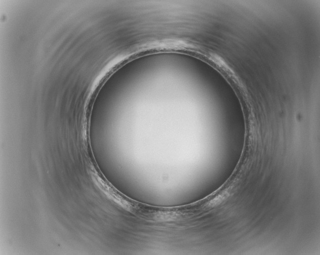 X0000055511232200508262132