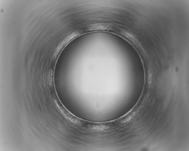 X0000055511233200508262132