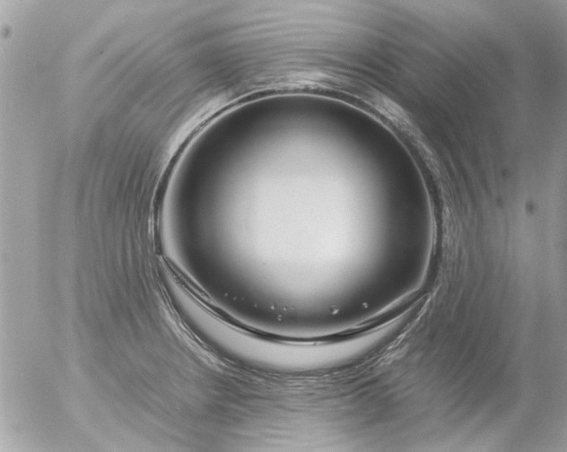 X0000055511234200508262132