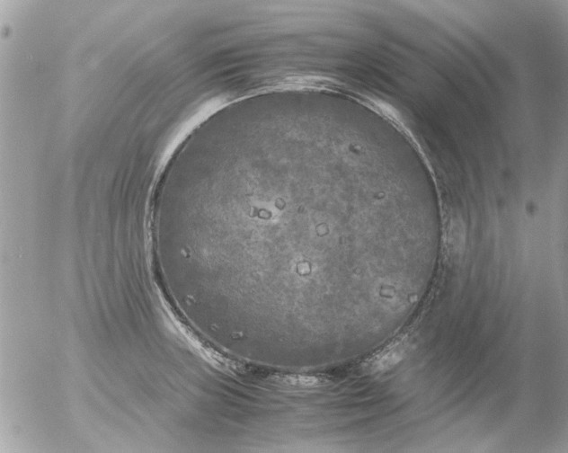 X0000055511235200508262132