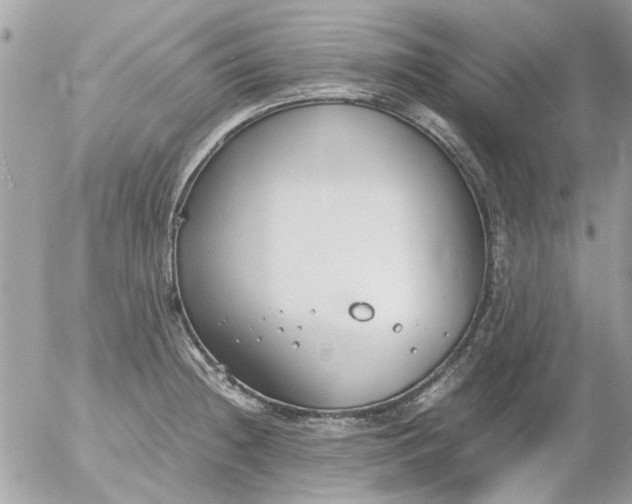 X0000055511236200508262132