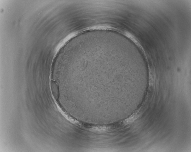 X0000055511237200508262132