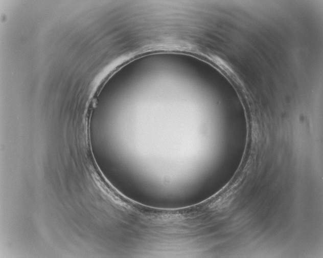 X0000055511238200508262132