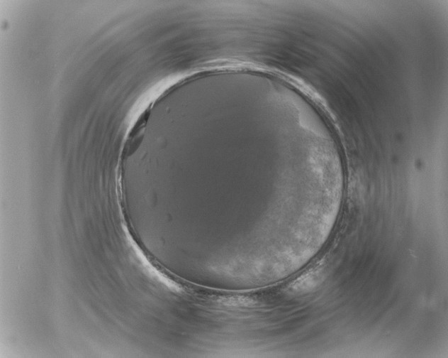 X0000055511239200508262132