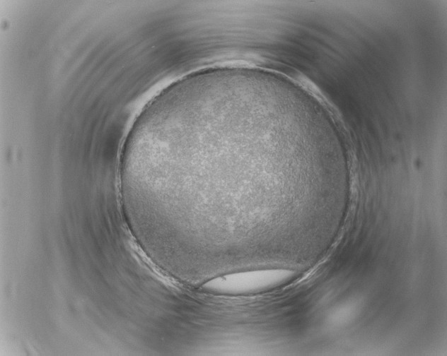 X0000055511240200508262132