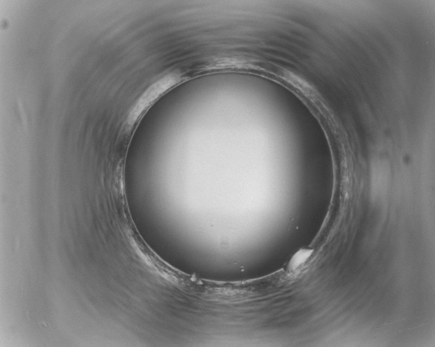 X0000055511241200508262132