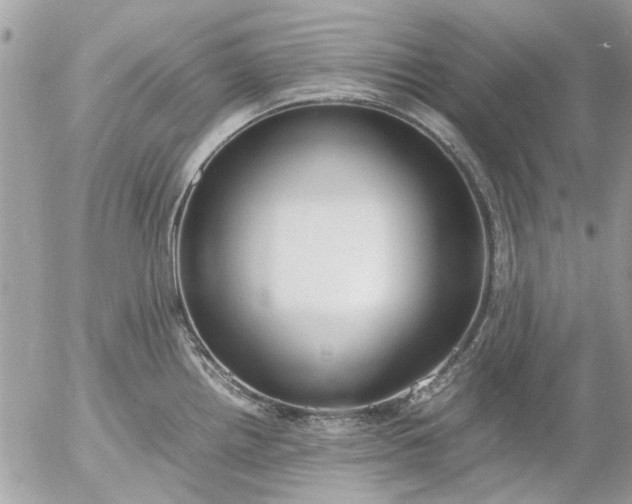 X0000055511242200508262132