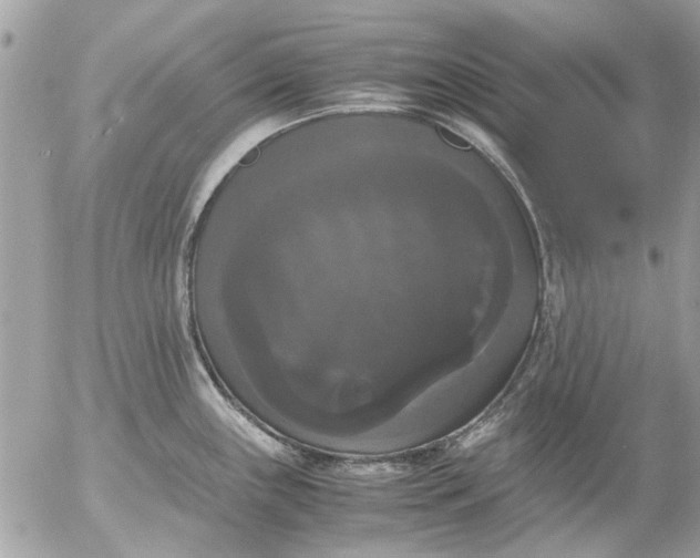 X0000055511243200508262132