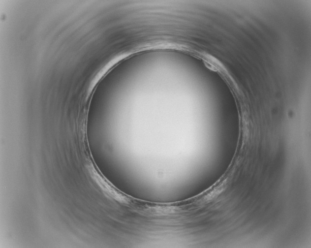 X0000055511244200508262132