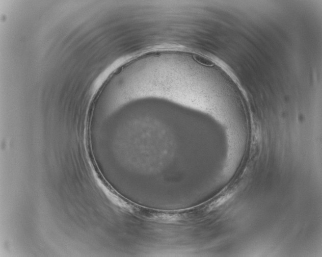 X0000055511245200508262132