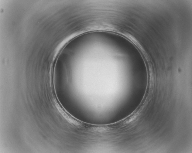 X0000055511246200508262132