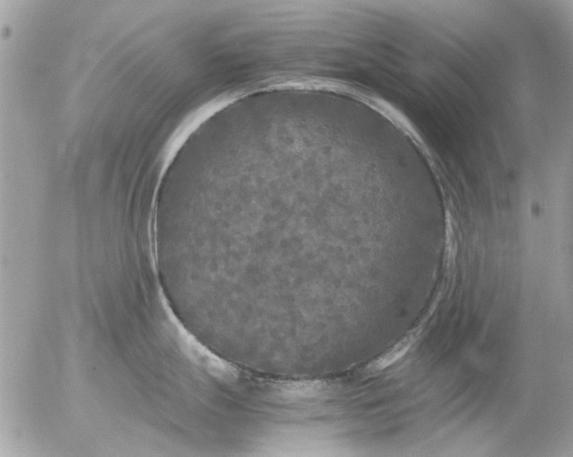 X0000055511247200508262132