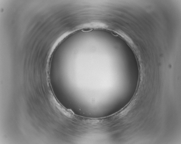 X0000055511248200508262132